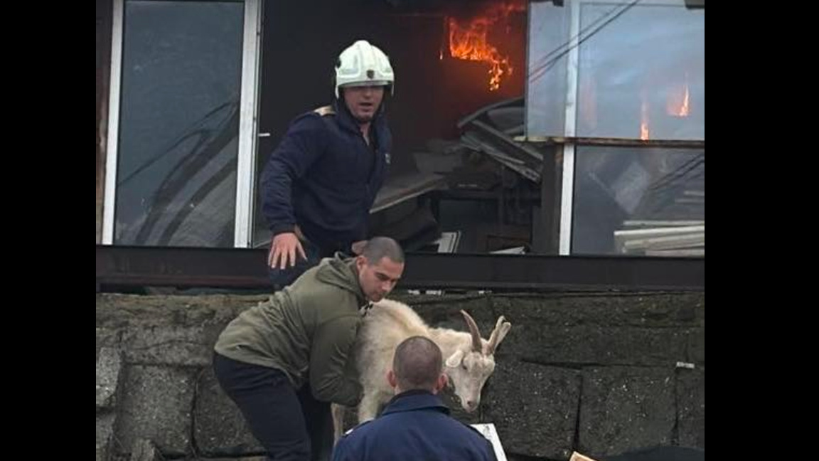 Запушен комин предизвика пожар в квартал "Банево"