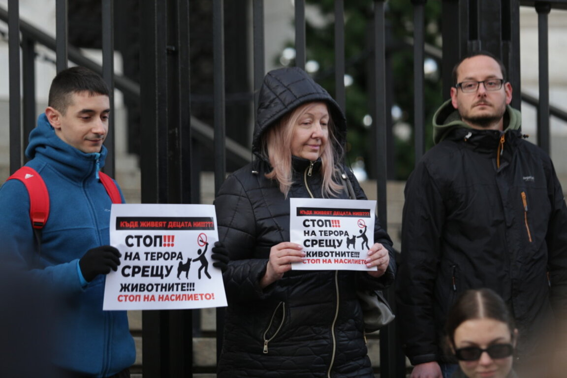 Протест в защита на кучето Мечо, София, 4 декември 2022 г.