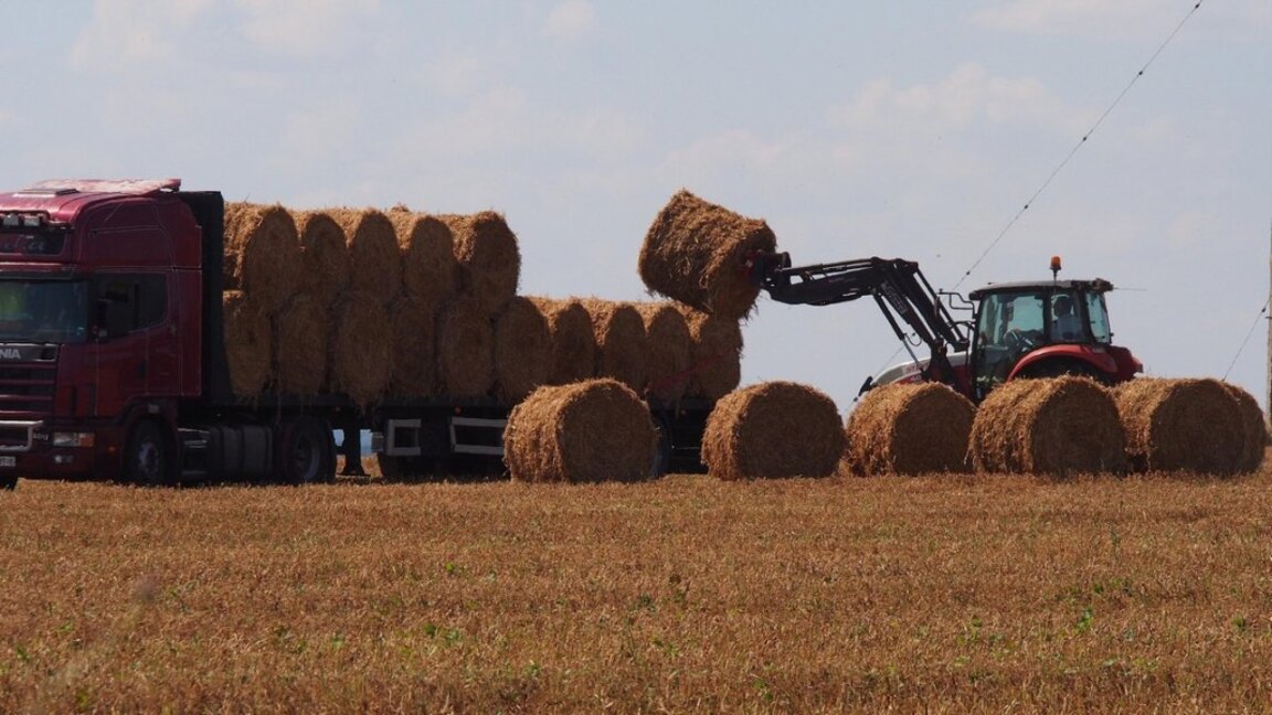 МФ отпуска още 63 млн. лв. в подкрепа на земеделските производители
