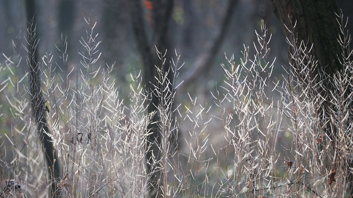 Облачно време, но с положителни температ...