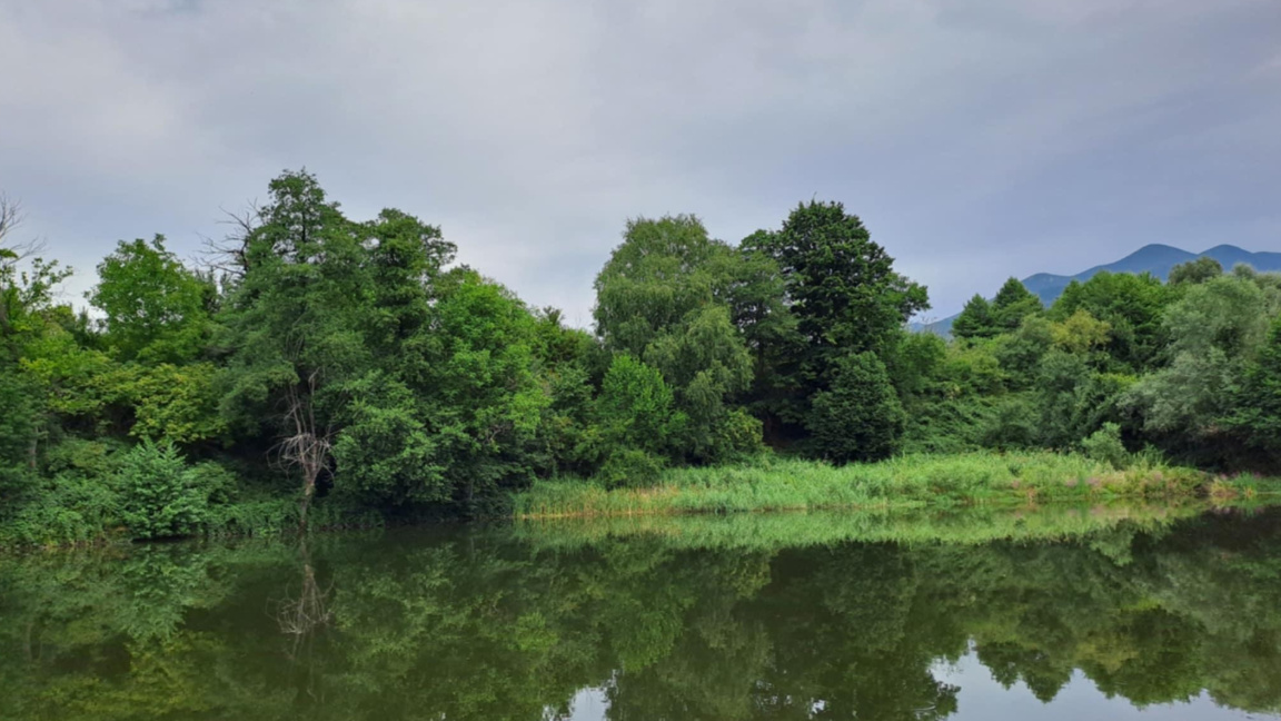 Wetteraussichten für Freitag, den 29. Ma...