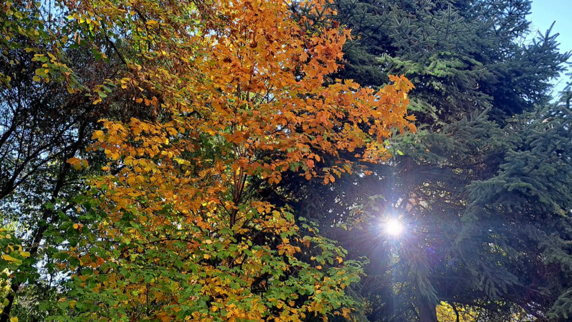 "Точно днес" – отражения и политически процеси отблизо