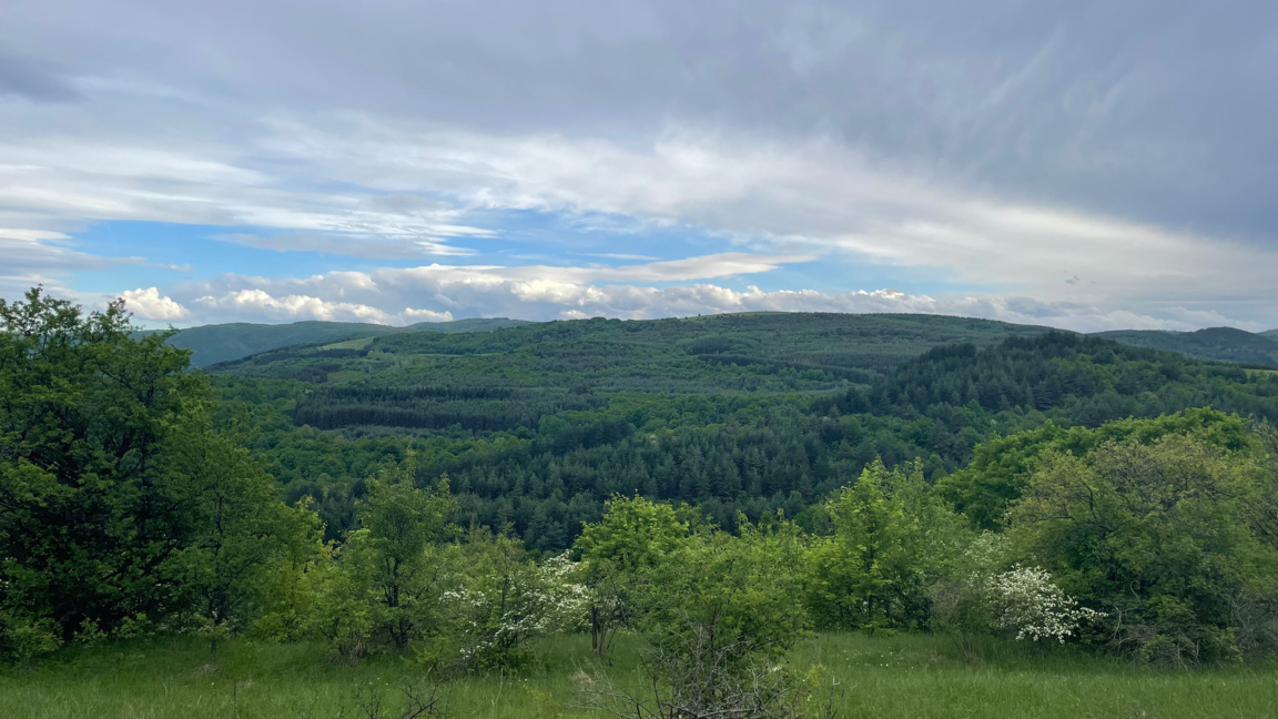 България изготвя Национален план за възс...