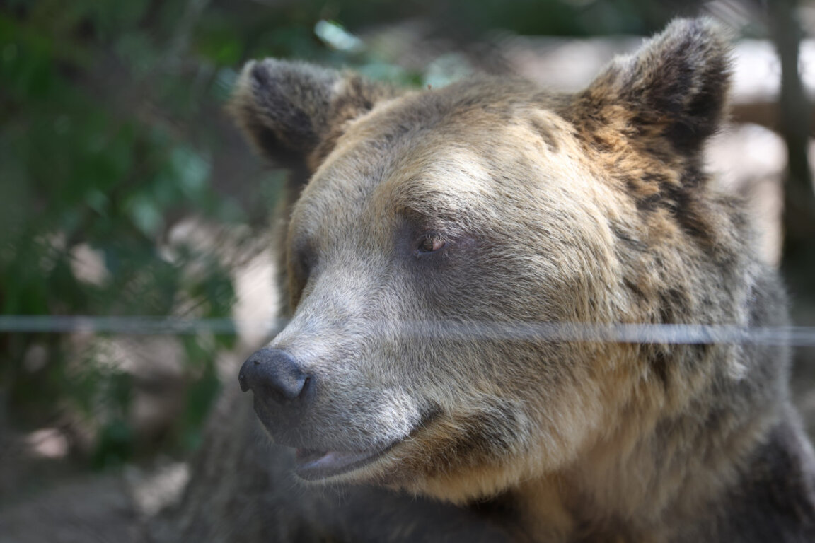Снимката е илюстративна.