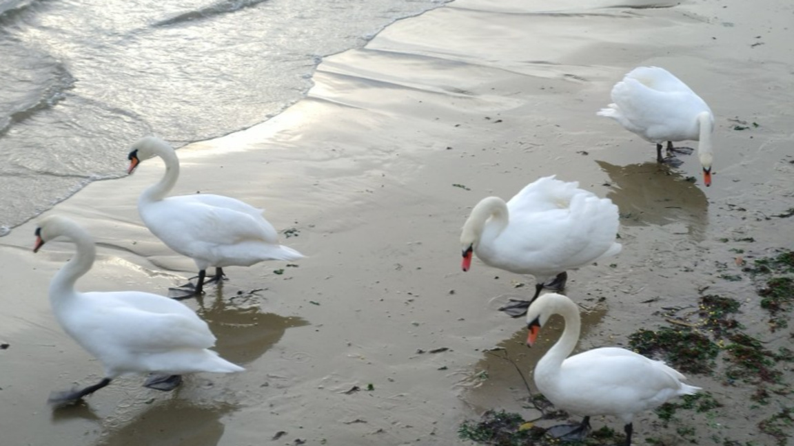 Ще се затопли...