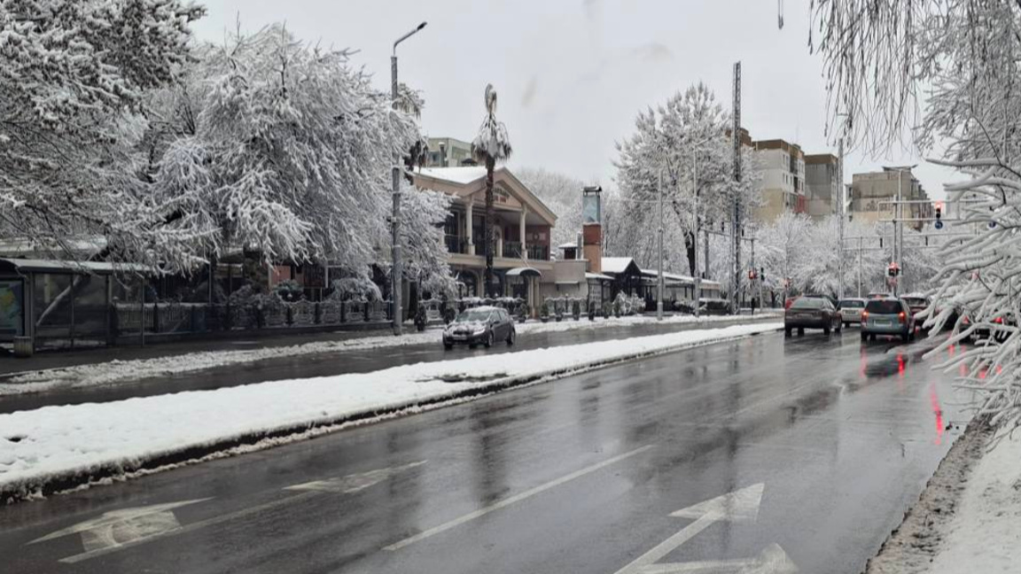 Над 70 са сигналите за паднали дървета и...