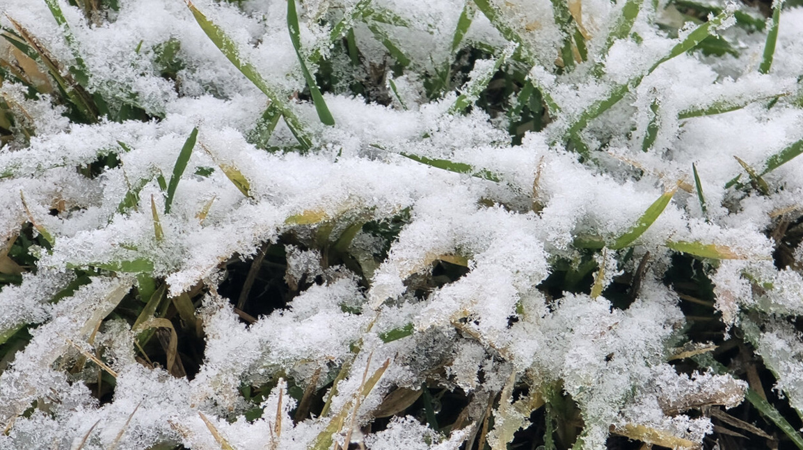 Спомени и прогнози в предаването "Точно днес" на 12 януари