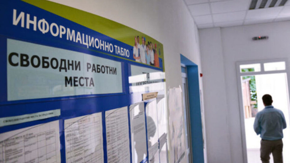 Десетки свободни позиции и програми за п...