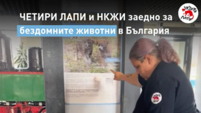 ЧЕТИРИ ЛАПИ и НКЖИ с кампания за безстопанствените животни