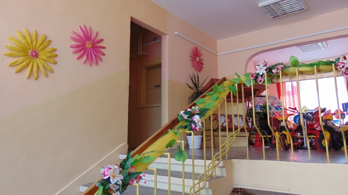 БАПЗГ е против преминаването на детските...