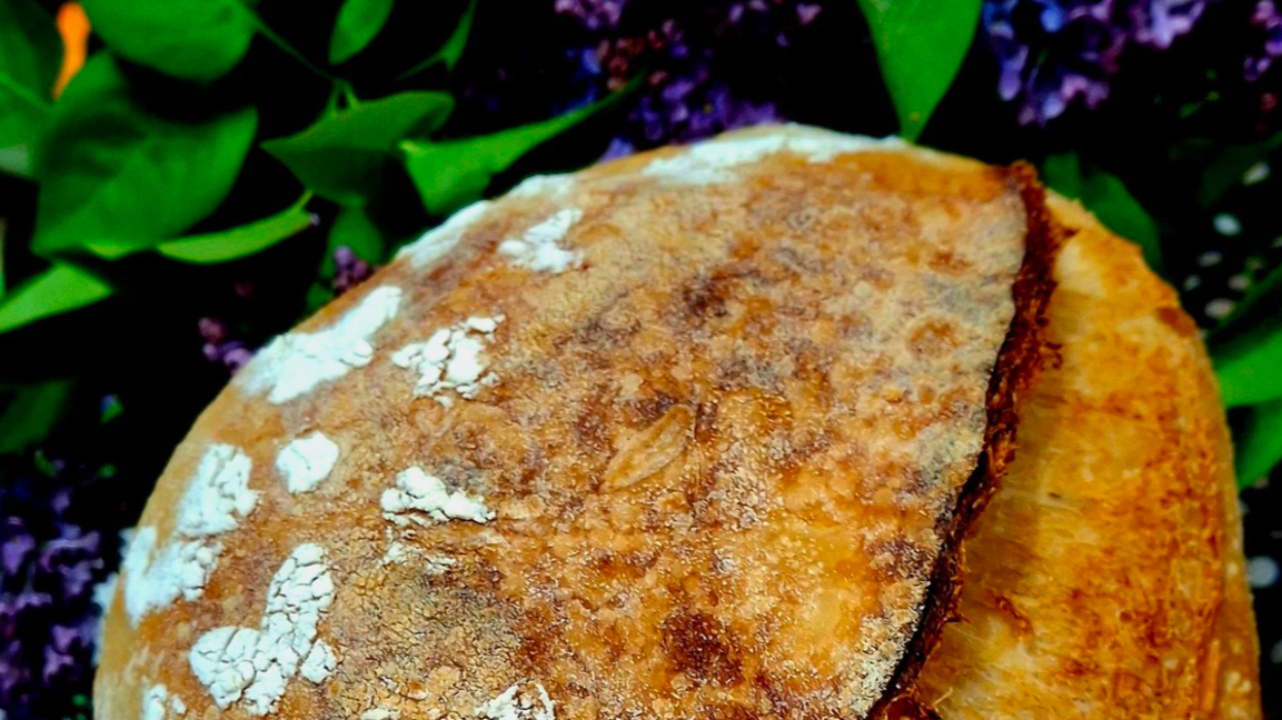 Фестивал на хляба събира учители и учени...