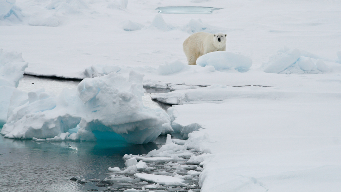 Арктическият морски лед през зимата е на рекордно ниско ниво