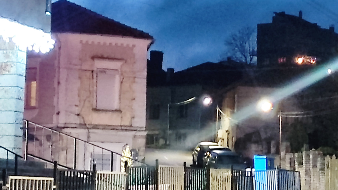 Застреляха бездомно куче в Балчик...