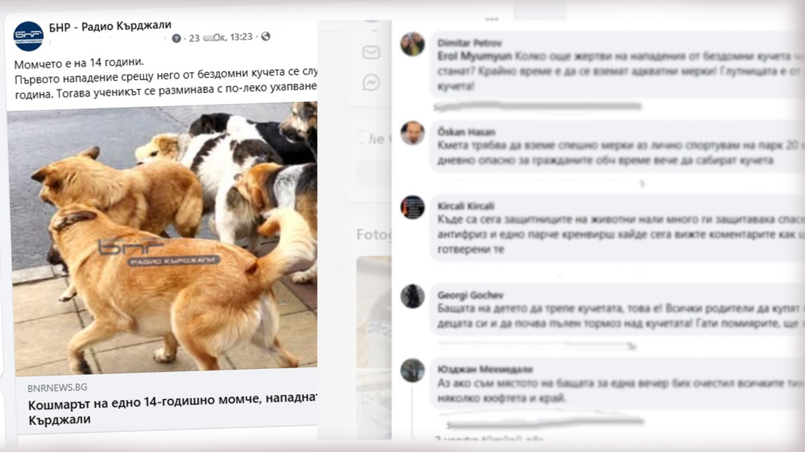 Случаят с нахапаното дете отвори дебат в социалните мрежи за бездомните кучета