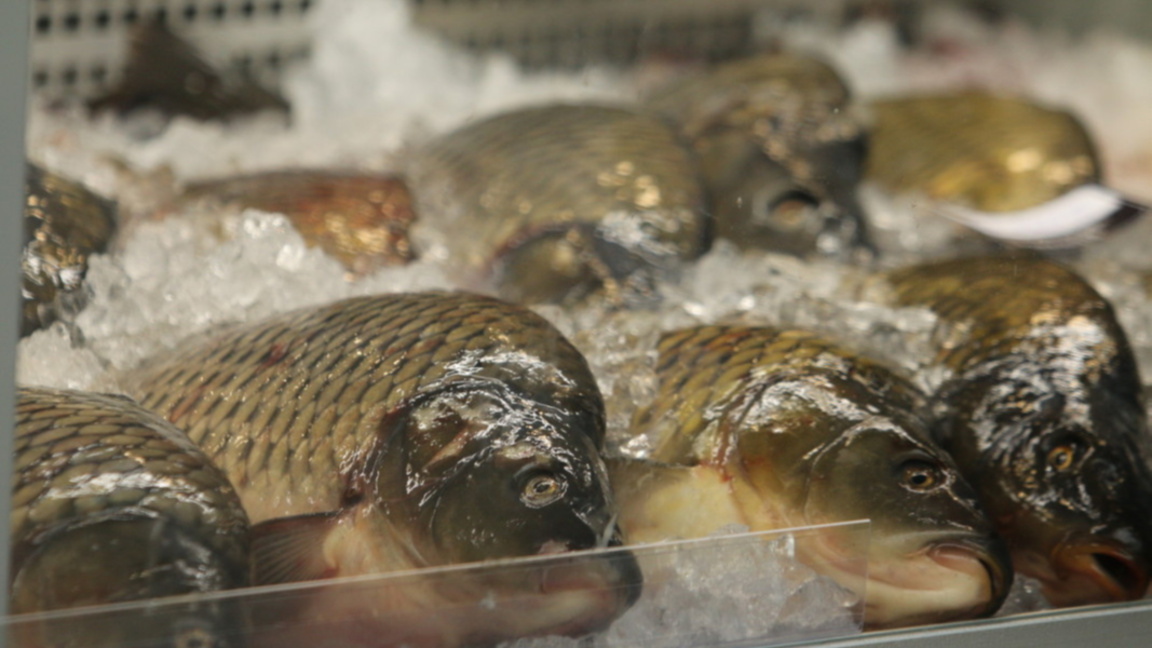 Шаранът е най-купуваната риба на Никулден.