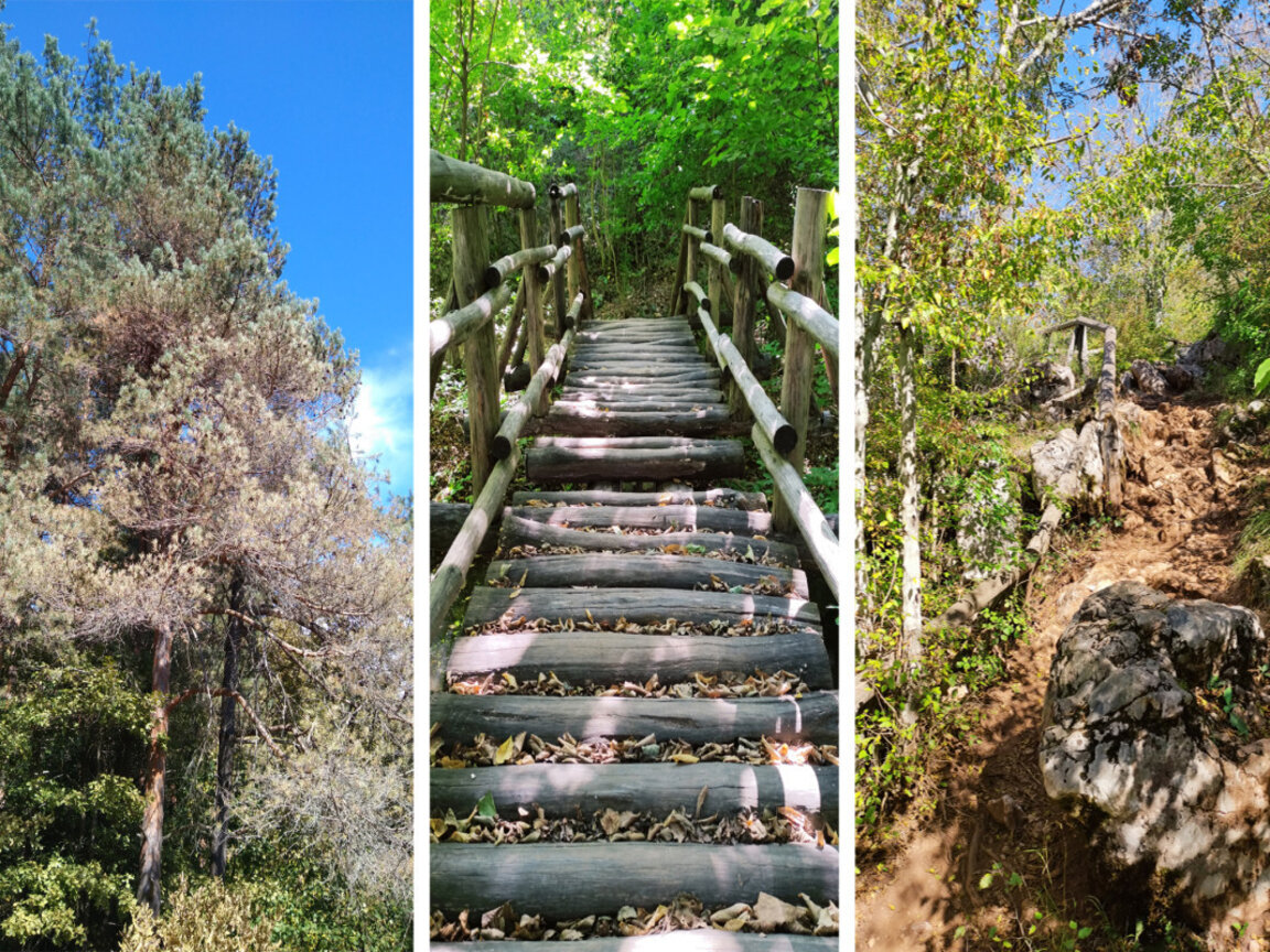 "Не се знае кой кара влака в Странджа". Защо НПО върши работа на институции?