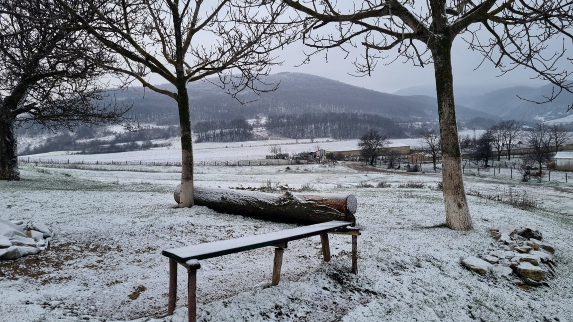 Жълт код за студ и сняг в почти цялата страна