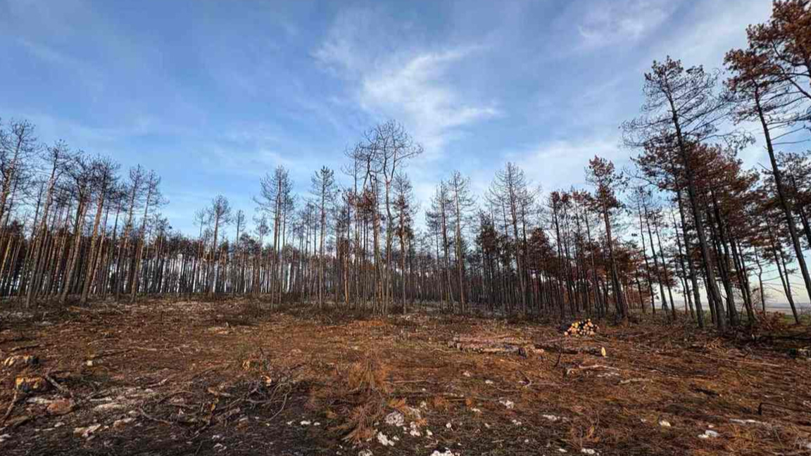 В Безден и Богьовци: Страхове и надежди ...