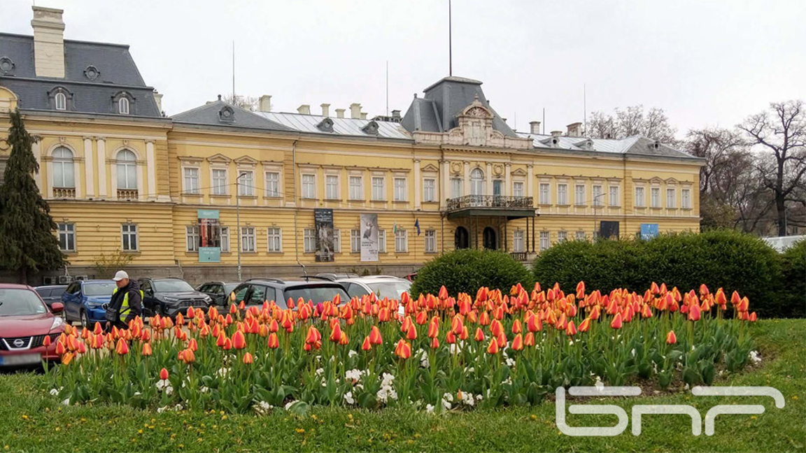 Приятно време – със слънце и ветрец...