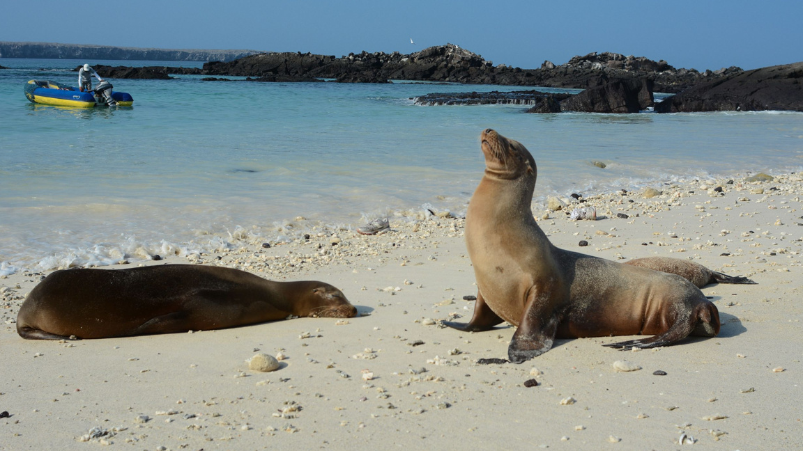 Галапагос – живата лаборатория на Чарлз ...