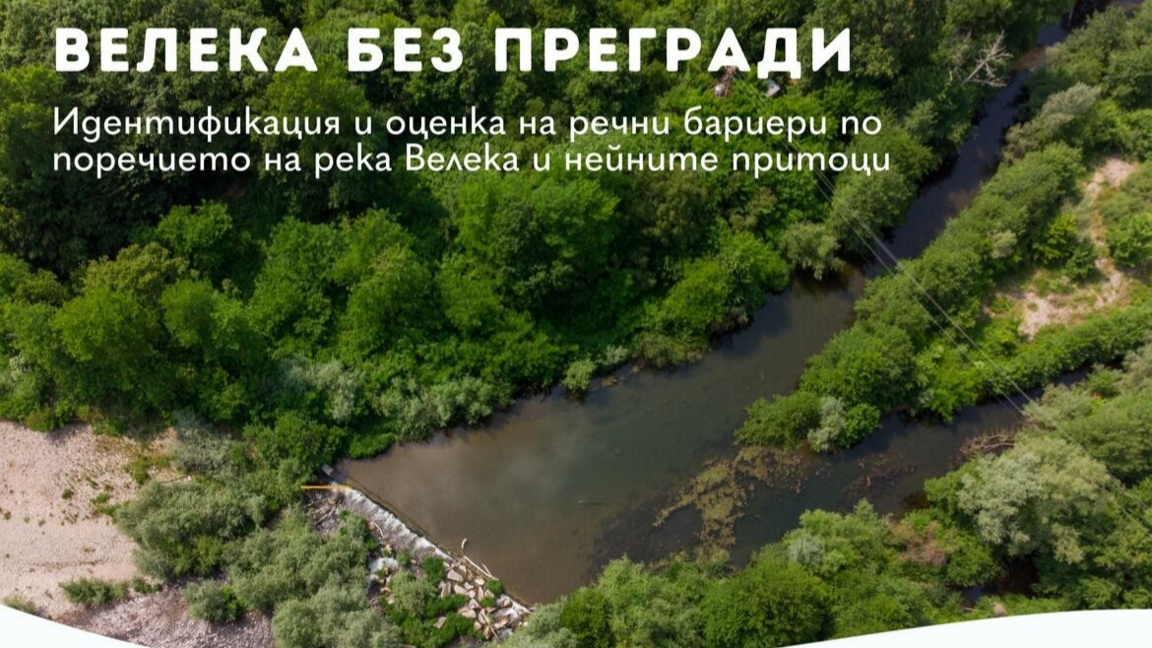 БФ "Биоразнообразие" стартира нов проект...