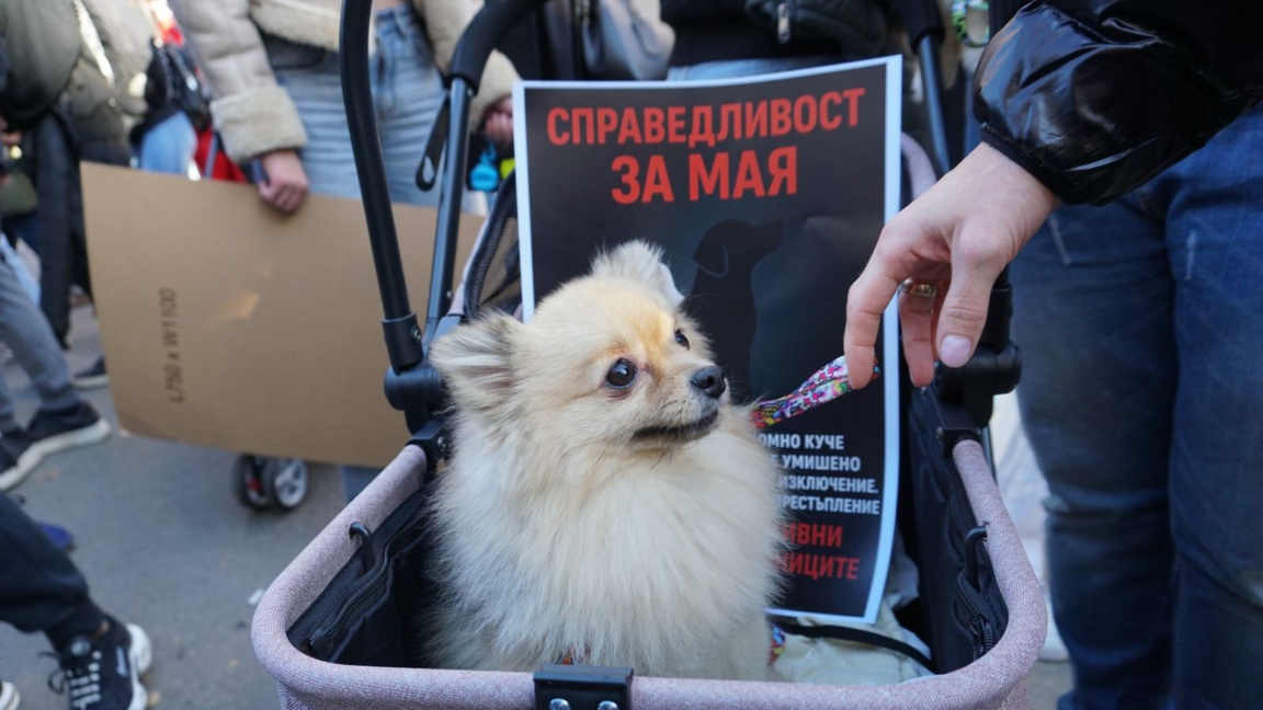 Протест пред ВМА: Ненад Цоневски ще бъде...