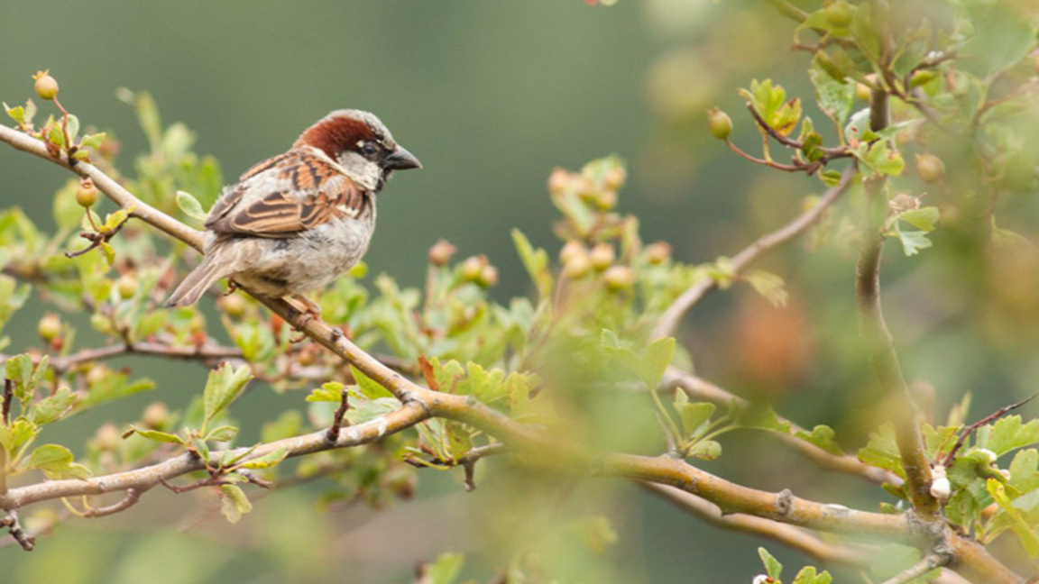 За десети път се провежда кампанията "Ни...