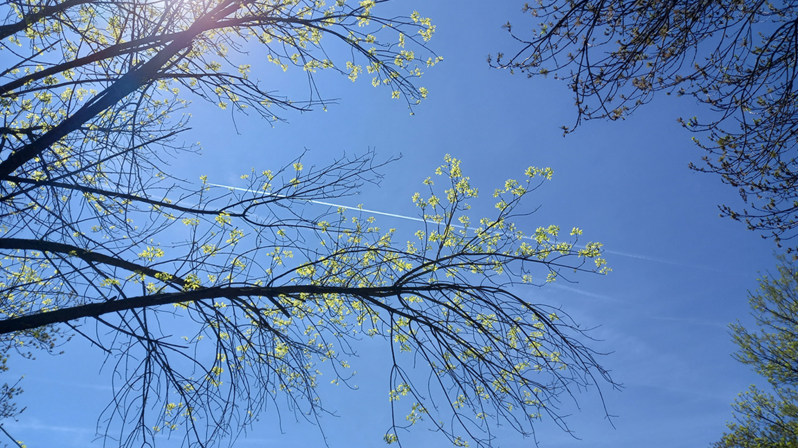 Сутринта ще е хладно на места има опасно...