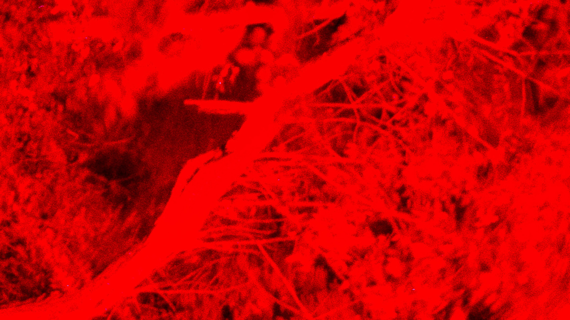 "Никога повече, и отново" – дебютна фотографска изложба на Валентин Пеев