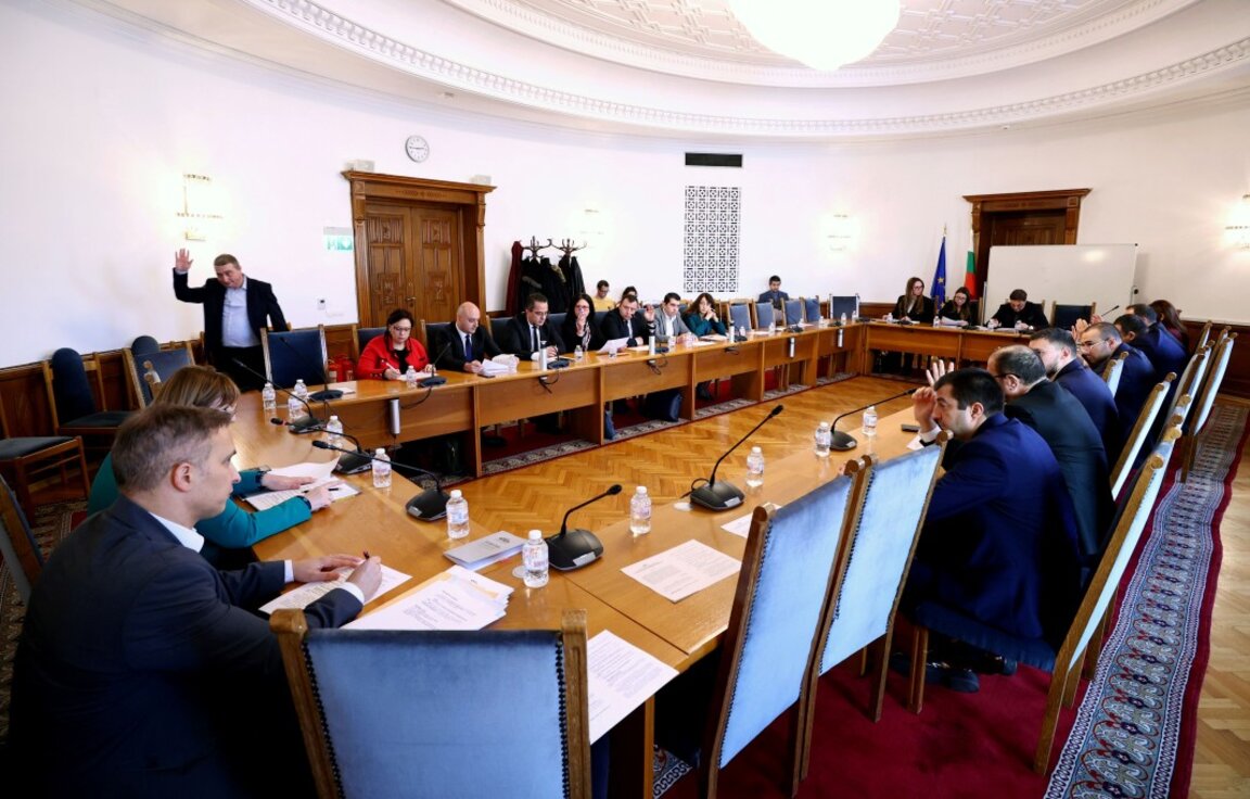 Рая Назарян: Парламентът трябва да избере над 90 души в регулаторни и други органи