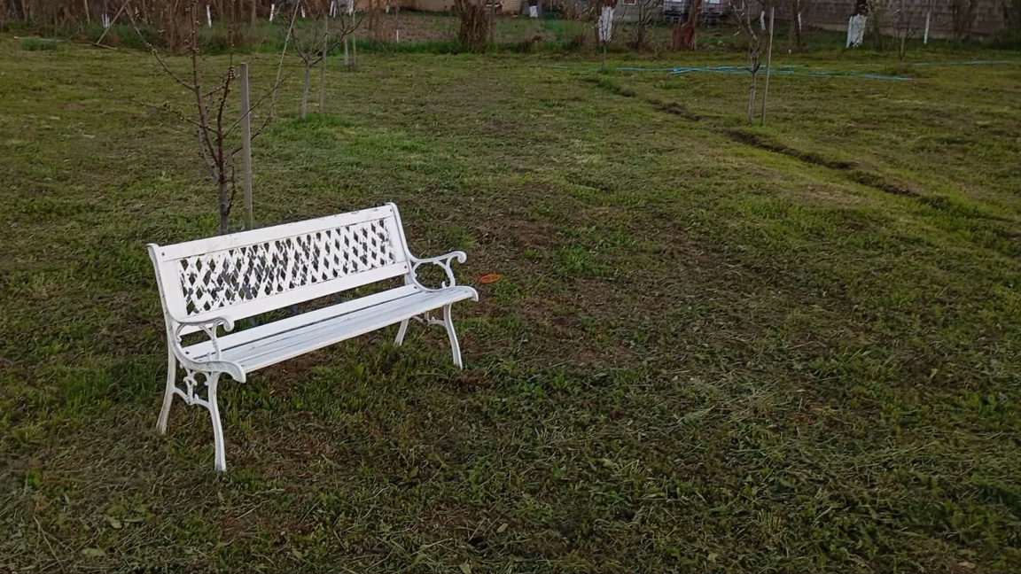 С "Денят на совите" и в четвъртък...