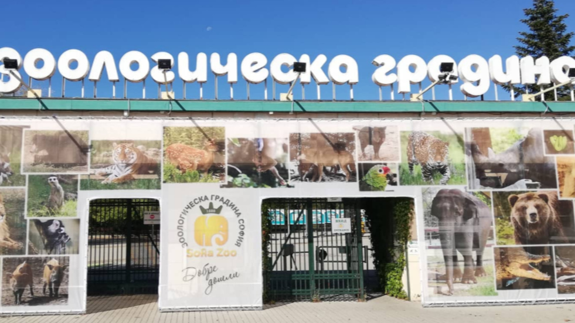 Зоологическата градина в София ще бъде з...