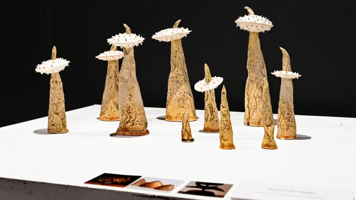 Стара Загора е домакин на Фестивала на с...