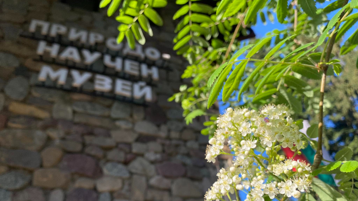 Природонаучен музей в Черни Осъм, епизод...