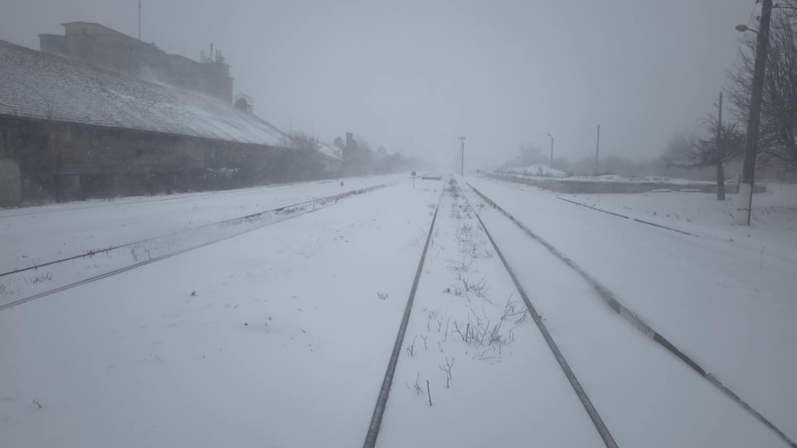 Дистанционно обучение в Силистра...