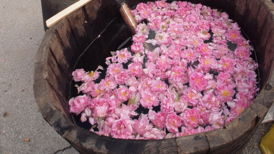 Органичават движението по пътя Габрово - Казанлък заради ритуала "Розобер" в неделя