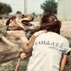 Каузата на германката Розалин Шмих да промени българската нагласа към животните