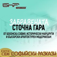 Софийски разкази: Сточна гара